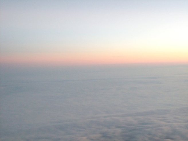 The scene outside my window