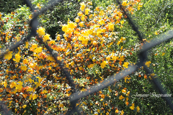 Beauty on the Other Side