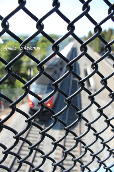 The Train Below the Bridge