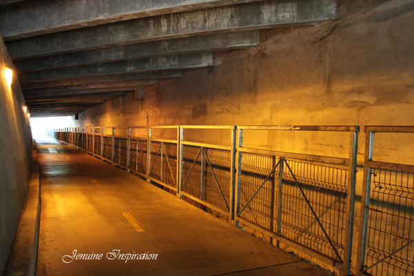 The Tunnel on the Way Back