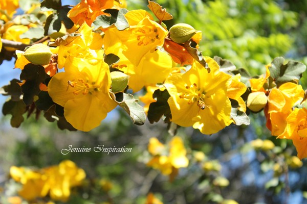 Unbeelievably Gorgeous