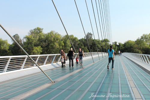 Walking on the Sundial Bridge
