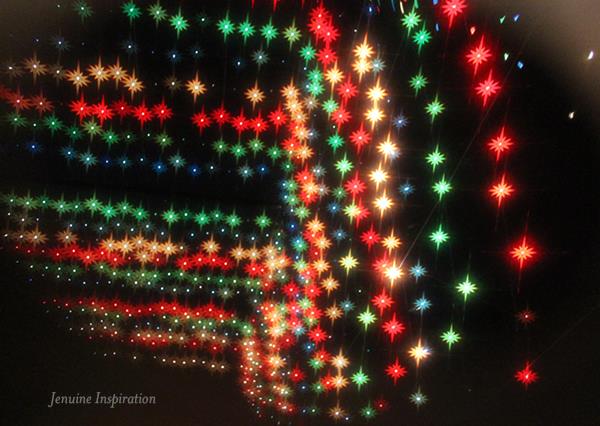 12510268_10206868810092857_623689640318315015_n