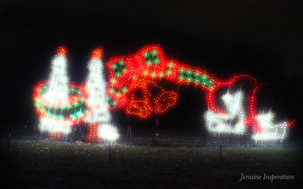 1482861_10206868808052806_4818550920130293755_n