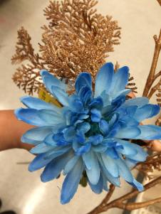 13340610_10207943867048609_682523673_o