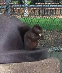 17819883_10210579495497673_1818647979_o