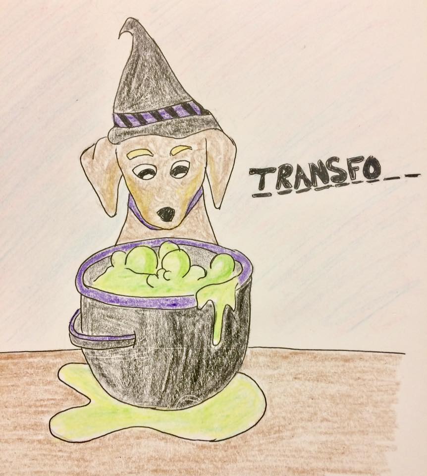 45206596_10214733621628230_7494643074534998016_n